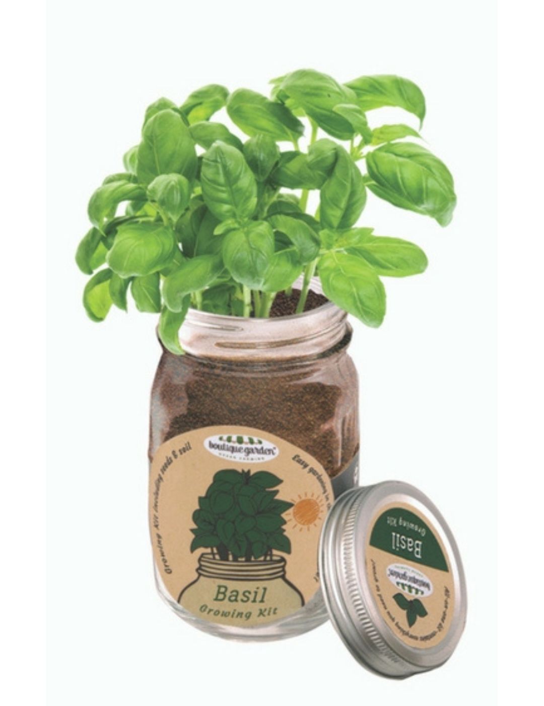Mason Jar Grow Kits - Basil