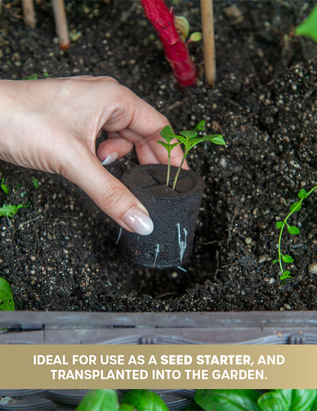 HydroGarden Elite All-In-One Grow Kit