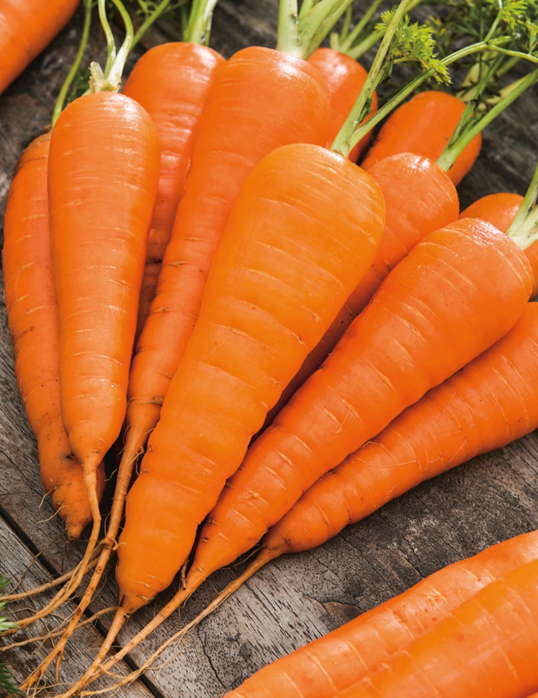 Carrot All Year Round