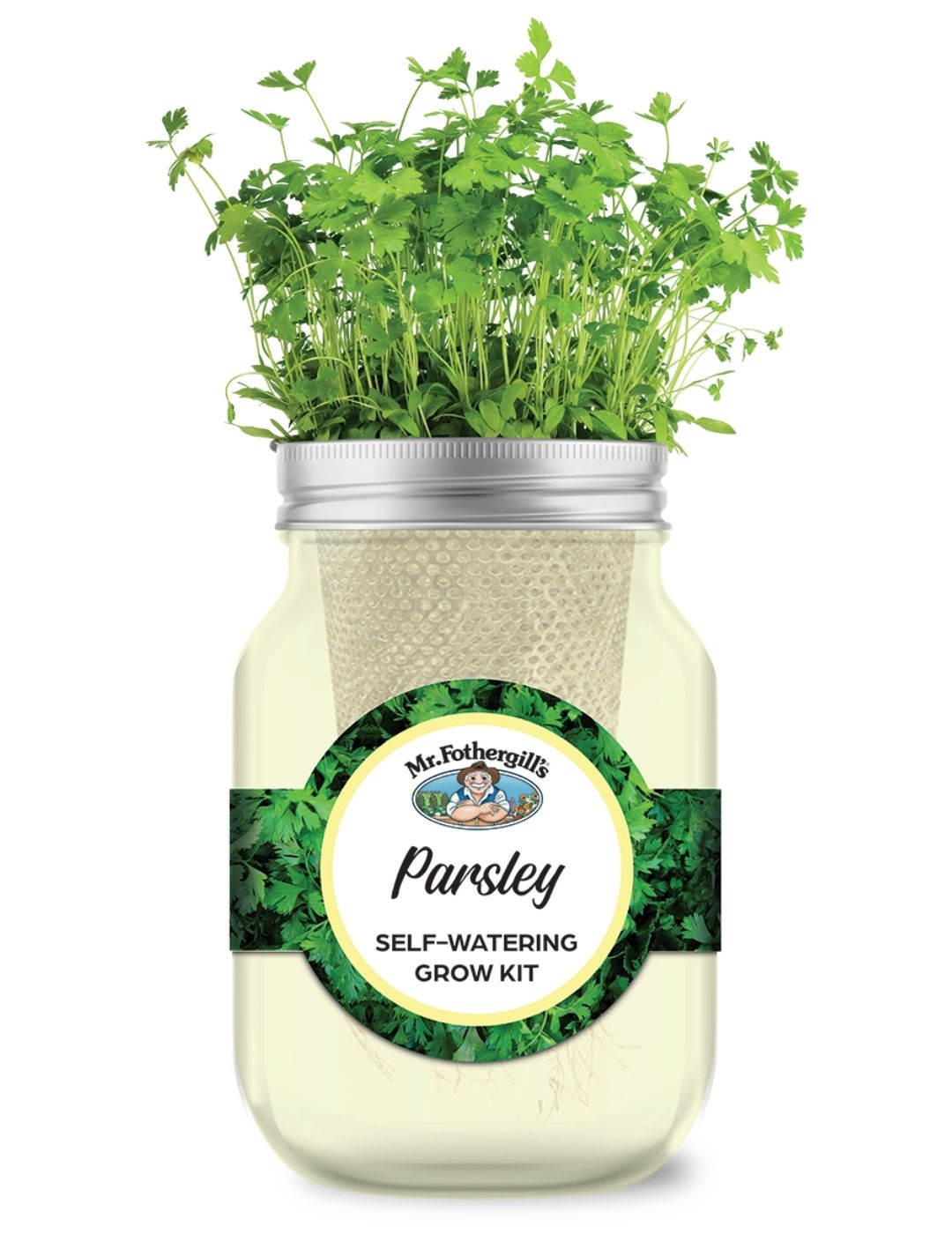Self Watering Mason Jar Grow Kit- Parsley Italian