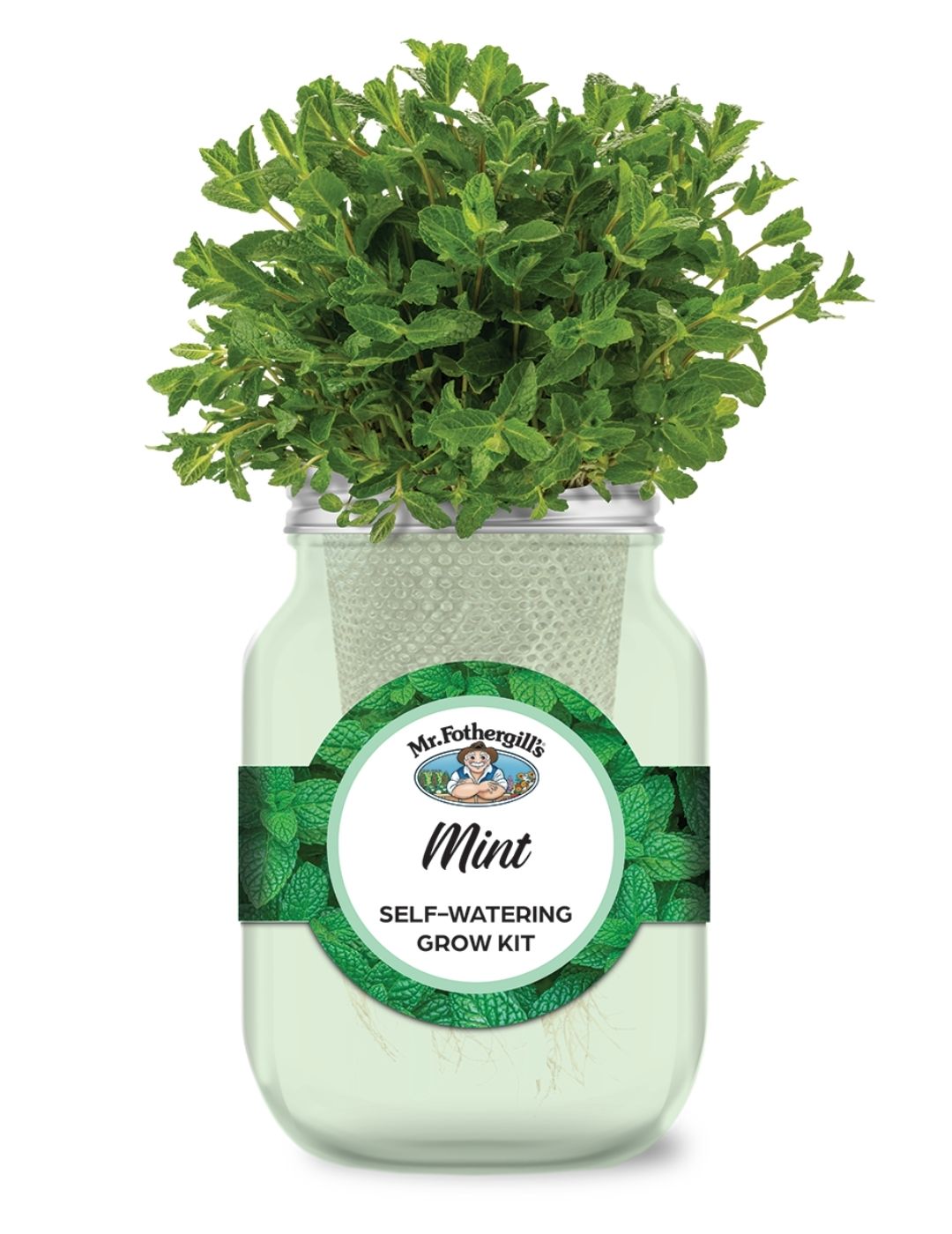 Self Watering Mason Jar Grow Kit - Mint Spearmint