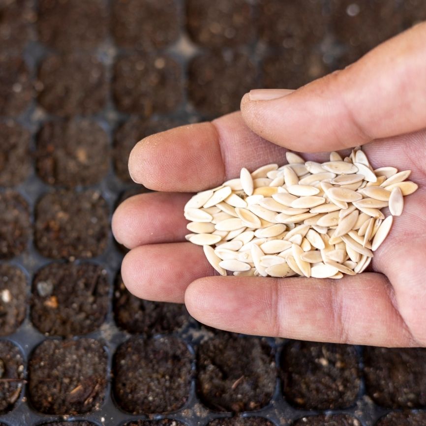 Untitled_design_19_d799b6d5-f528-4352-87ea-6dc4cd57884b