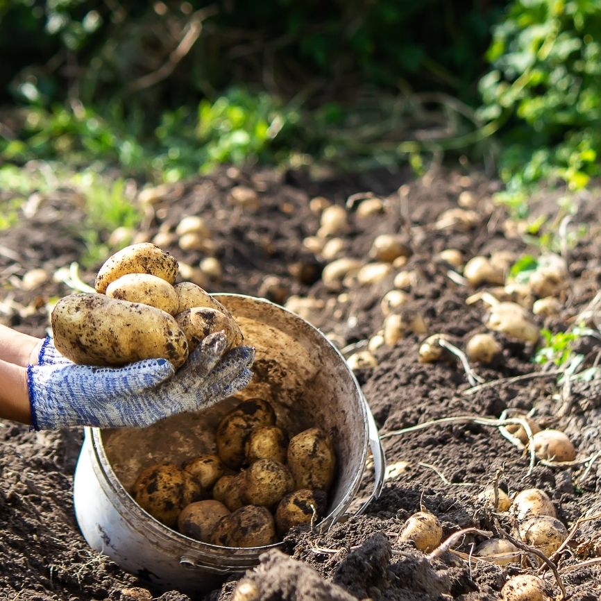 Untitled_design_5_884498d2-a856-4d5f-a698-c67b1cd296f3