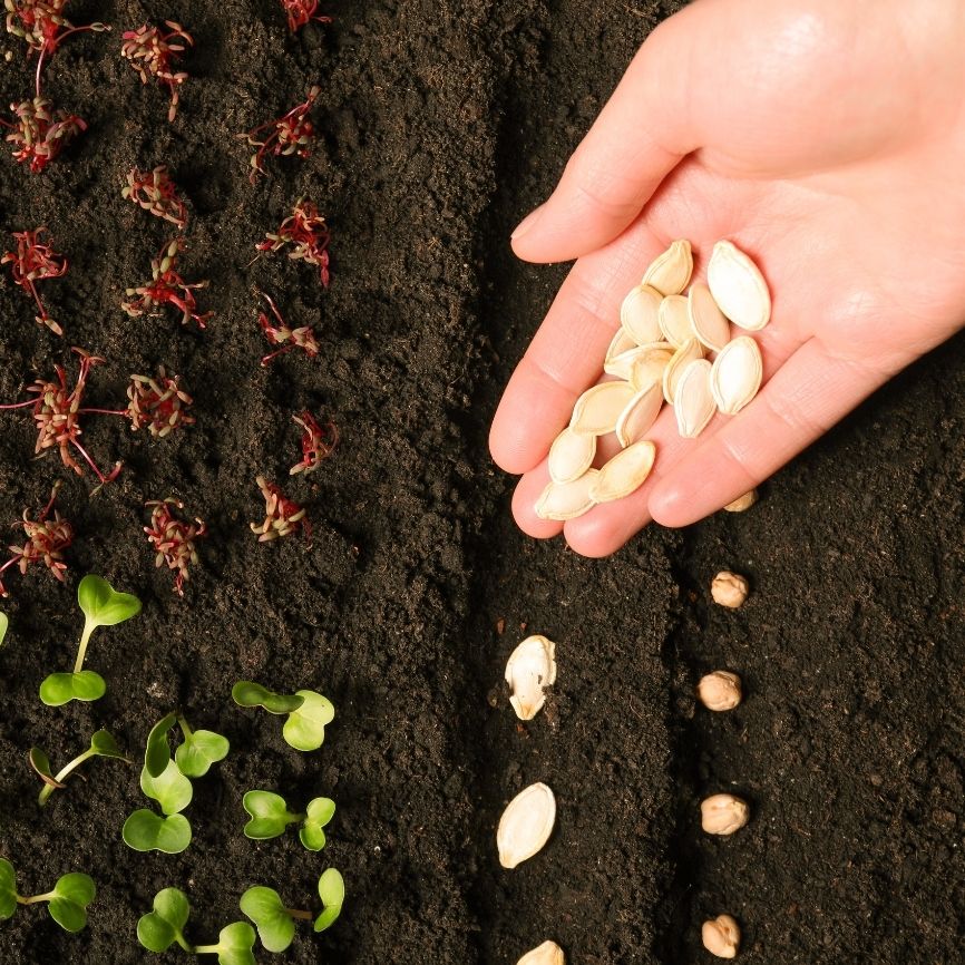 Untitled_design_8_436e96f9-0fe6-4462-b10c-d0afc487032b