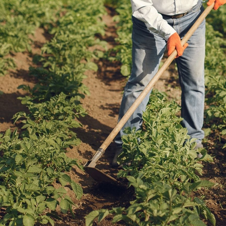 Untitled_design_9_53952fc9-6b9f-4dc7-8cfc-a33f919d88e3