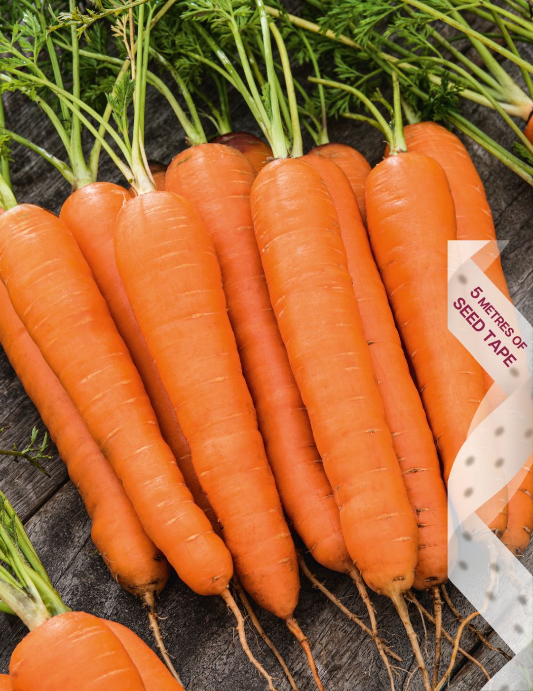 Carrot Manchester Table Seed Tape