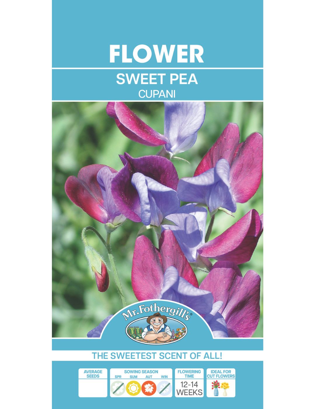 Sweet Pea Cupani Seeds