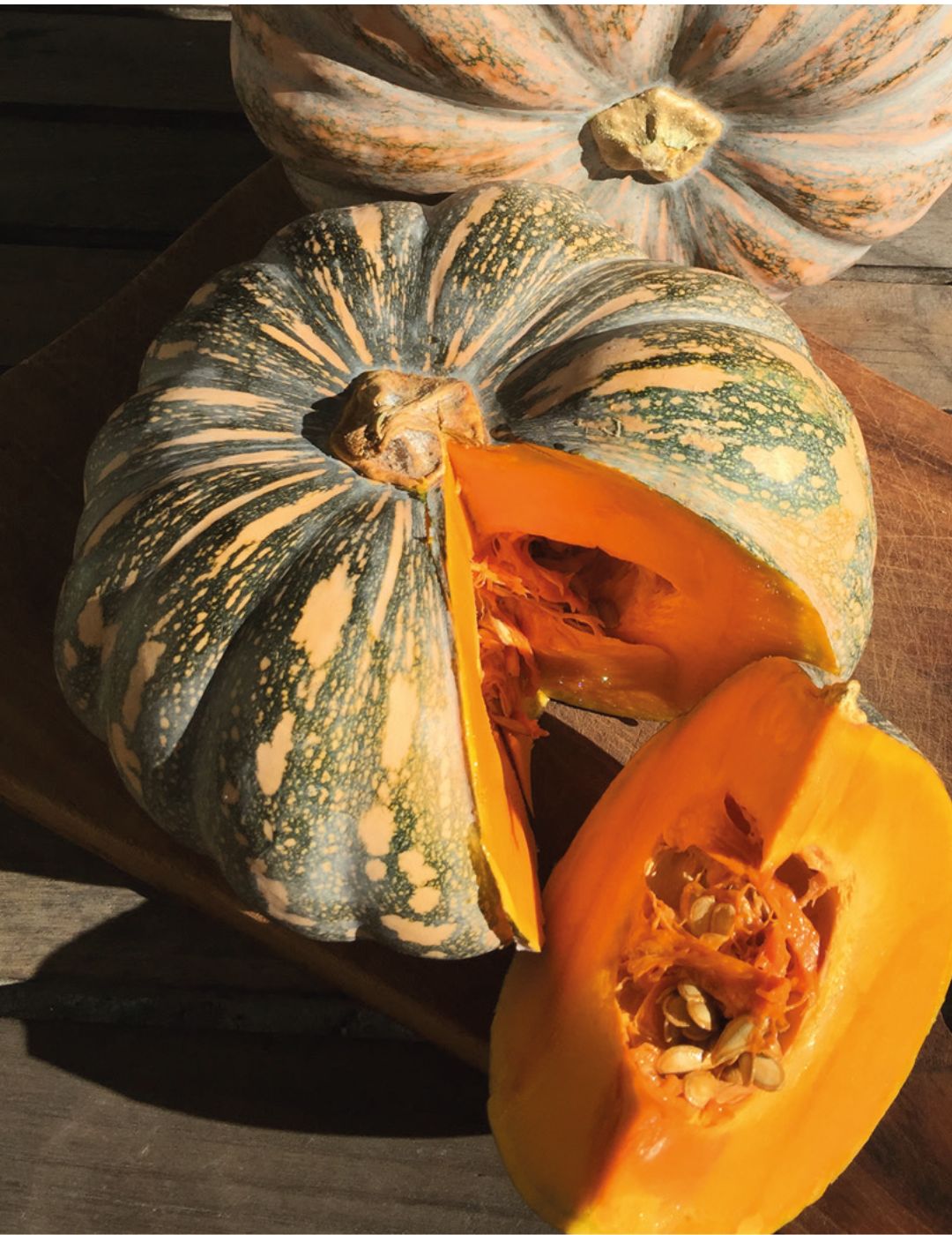 J.A.P or Kent Pumpkin Seeds | Mr Fothergill's Seeds NZ