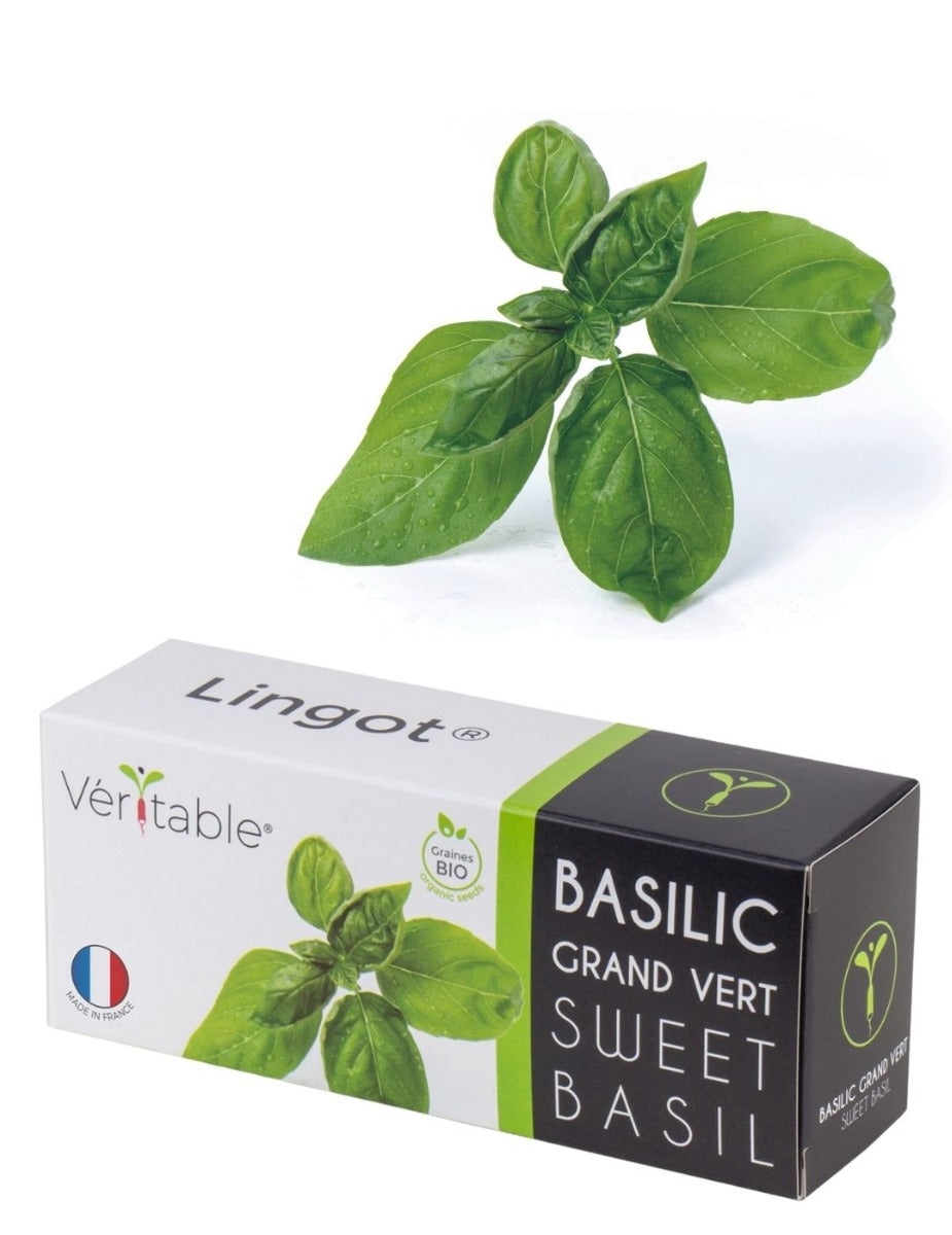Véritable® Seed Lingot® - Basil Sweet
