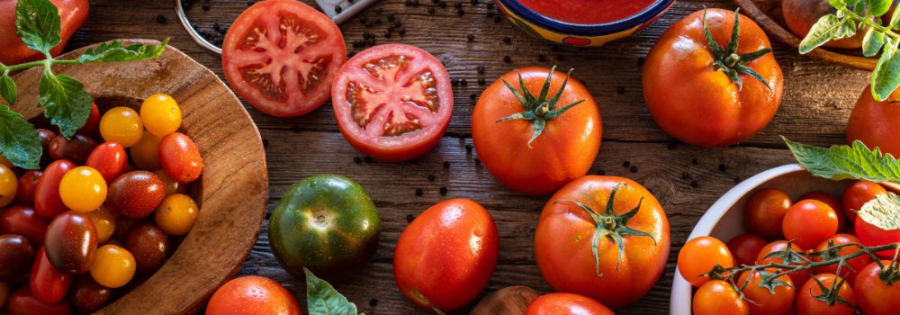 blog_Tomatoes_1000_350_px
