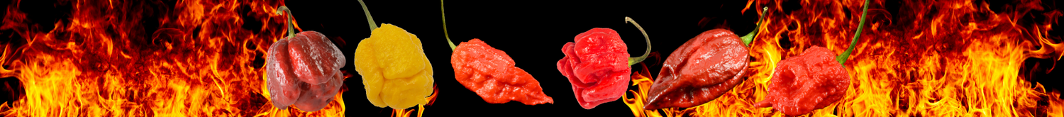 blog_super_hot_chillies_blog_banner_1