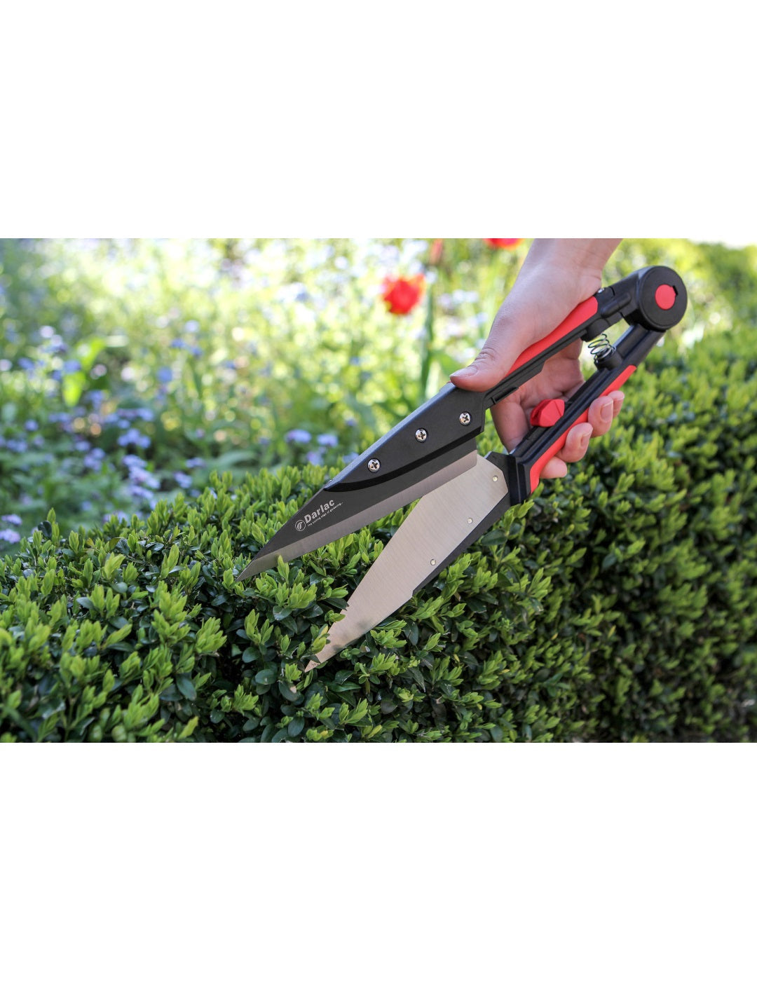 Darlac Expert Topiary Shear