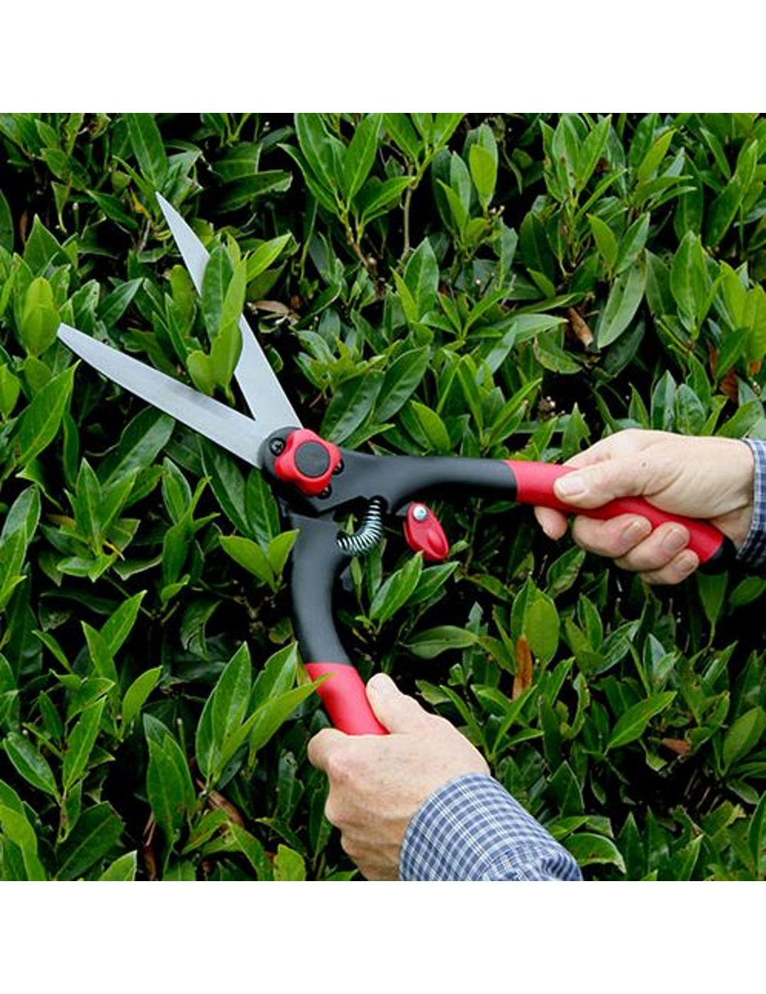 Darlac Classic Shears