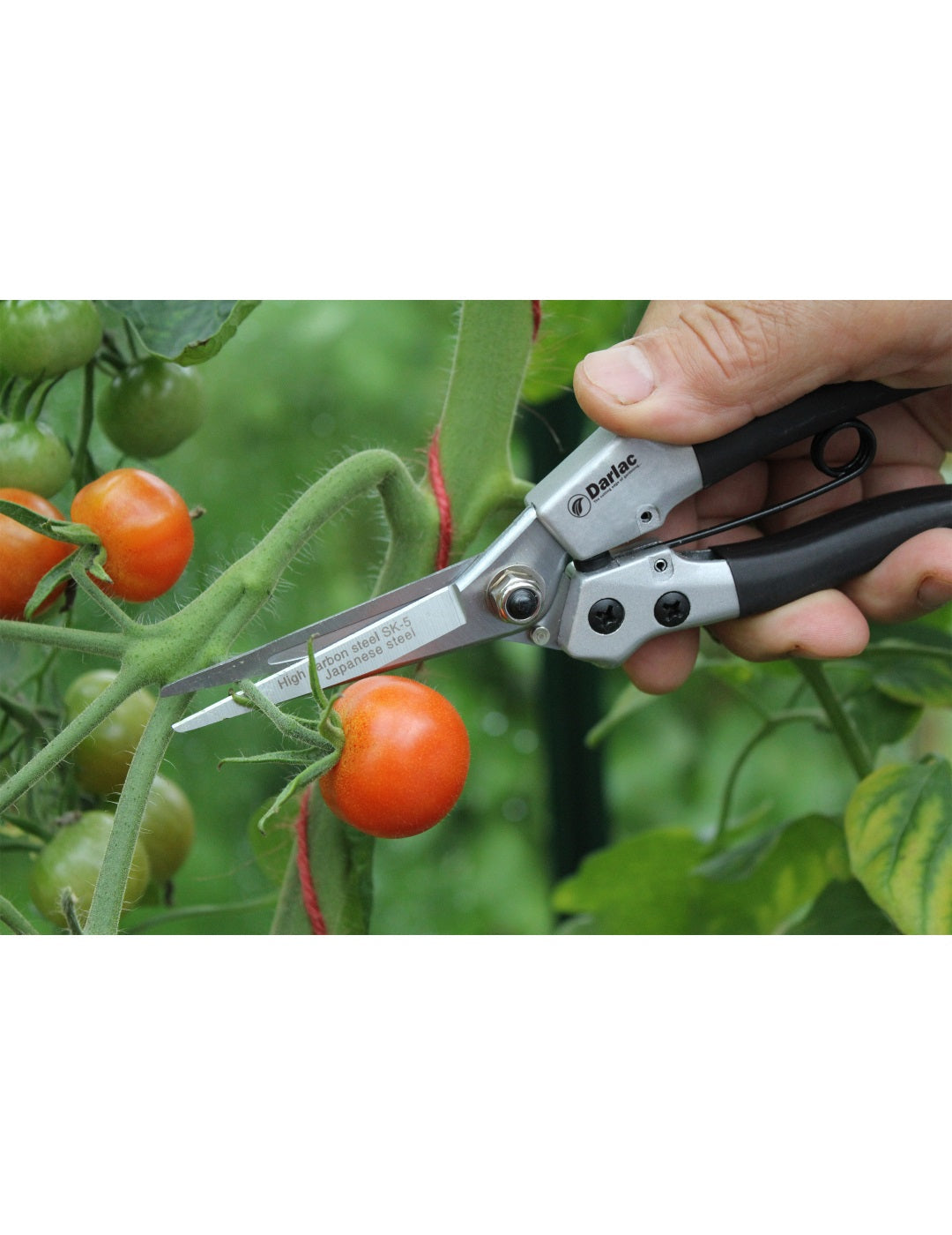 Darlac Compact Snips