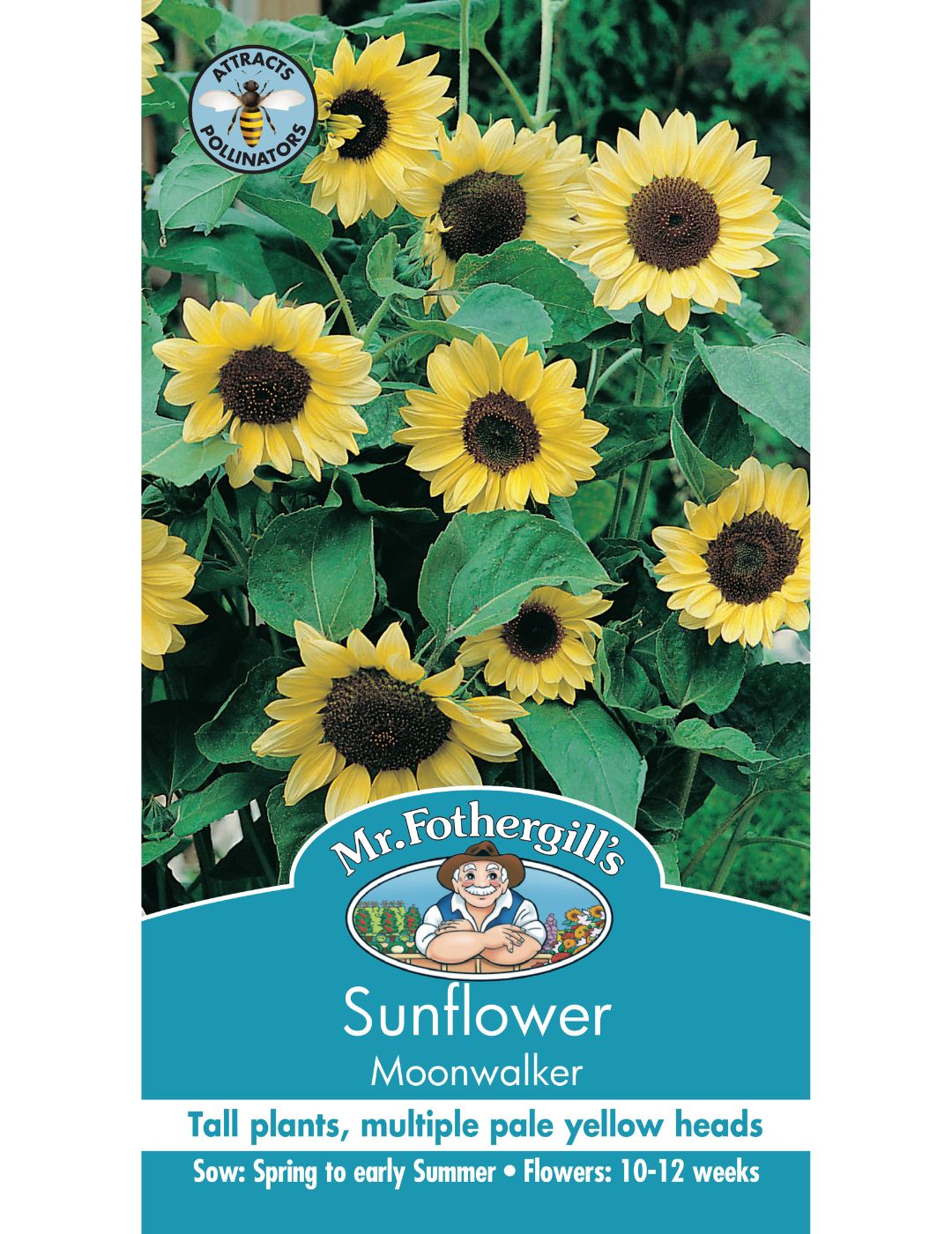 Sunflower Moonwalker
