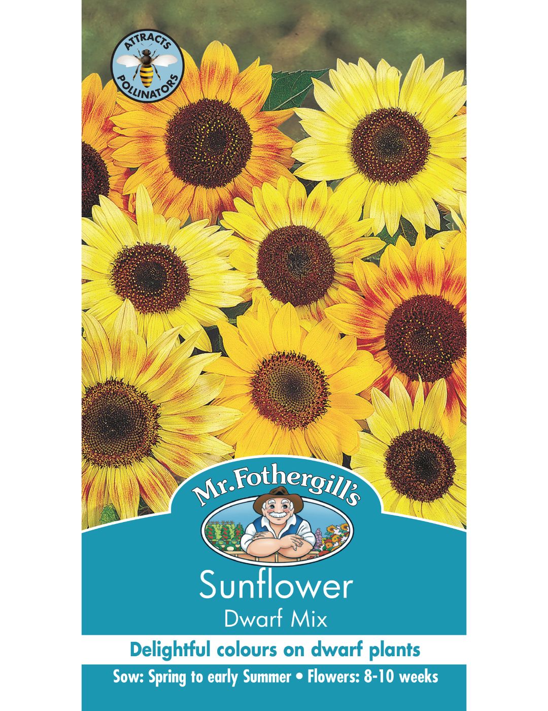 Sunflower Dwarf Mix