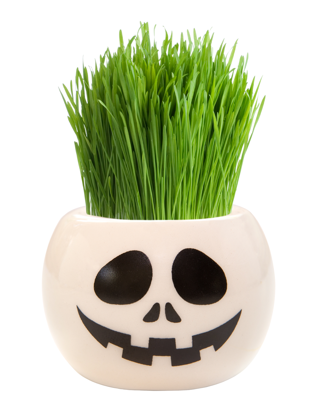 Grass Hair Kit - Halloween Party (Skull)