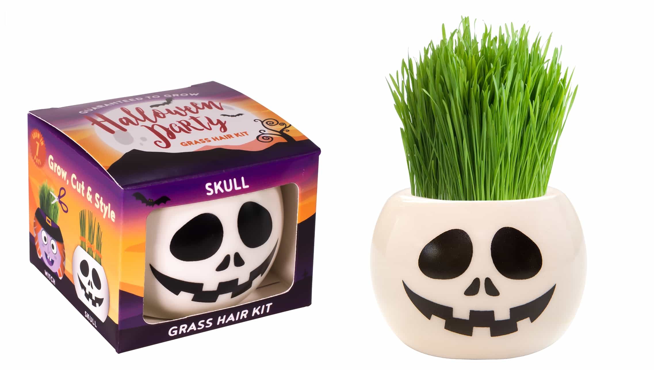 Grass Hair Kit - Halloween Party (Skull)