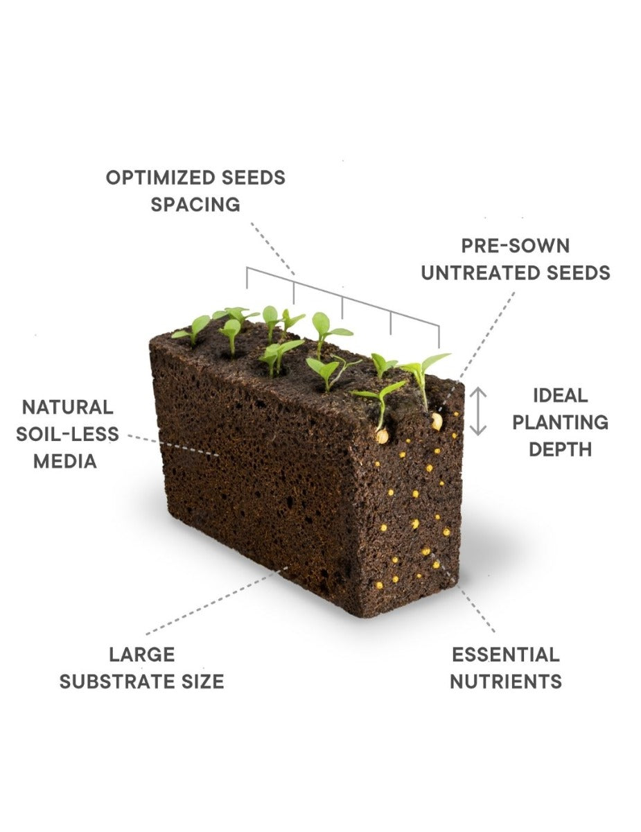Véritable® Indoor Garden - CLASSIC