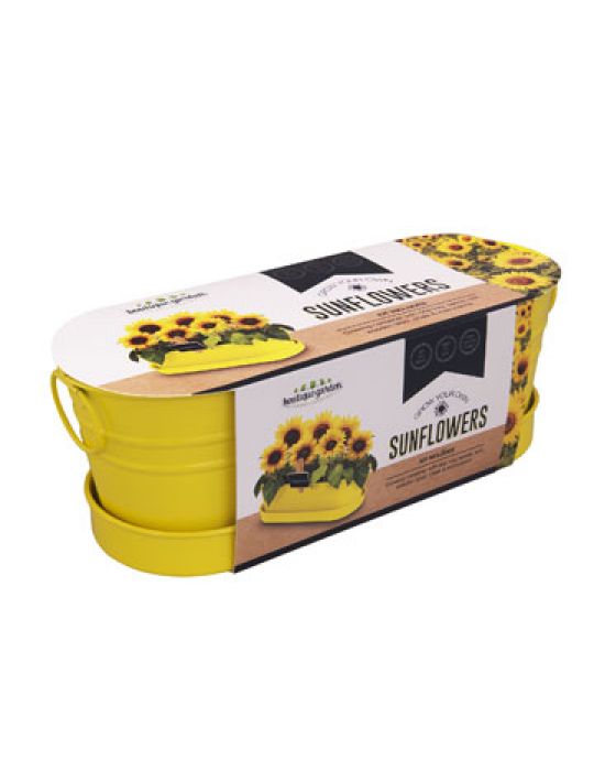 Sunflower - Windowsill Tin