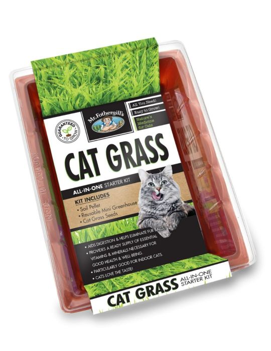 Cat Grass Seed Raiser Kit