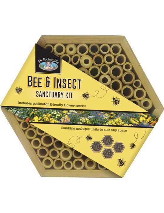 Bee & Insect Sanctuary Kit - Hexagonal