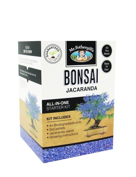 Bonsai Starter Kit - Jacaranda