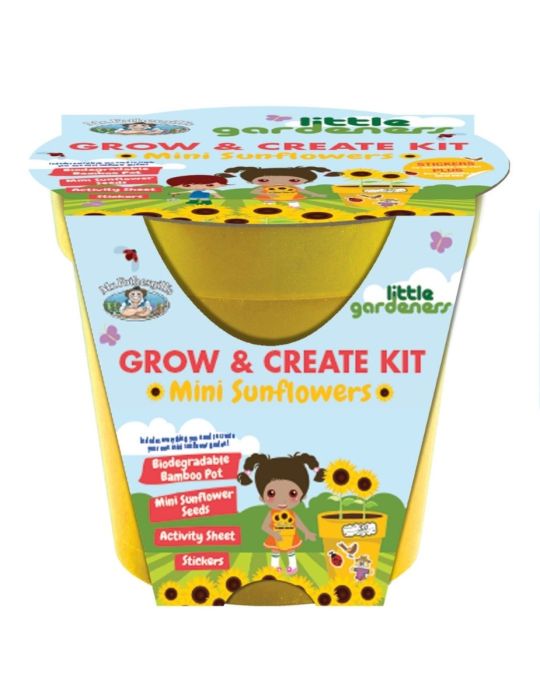 Little Gardeners Grow & Create Pot Mini Sunflower