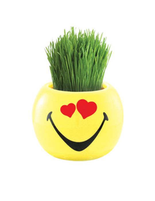 Grass Hair Kit -Smiley Faces (Love)