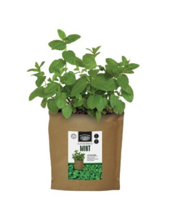 Mint - Grow Pouch Kit
