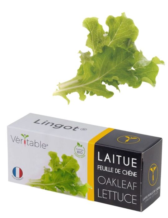 Véritable® Seed Lingot® - Lettuce Oakleaf