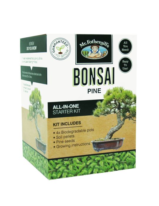 Bonsai Starter Kit - Pine