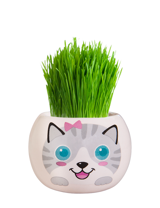 Grass Hair Kit - Kittens (Misty) 