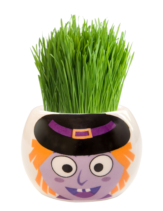 Grass Hair Kit -  Halloween Party (Witch)