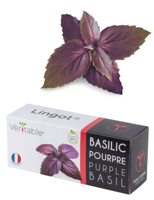 Véritable® Seed Lingot® - Basil Purple