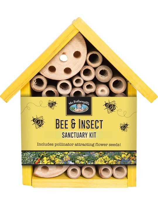 Bee & Insect Sanctuary Kit - Small