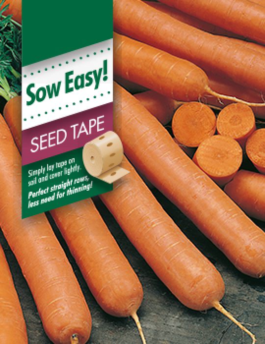 Carrot Manchester Table Seed Tape