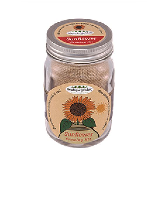 Mason Jar Grow Kits - Sunflower