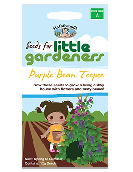 Little Gardeners - Purple Bean Teepee
