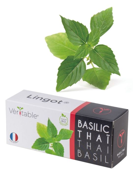 Véritable® Seed Lingot® - Basil Thai