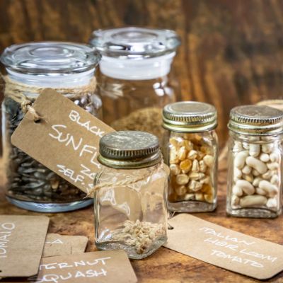 Unlocking The Benefits Of Heirloom Seeds