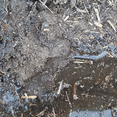 Hydrophobic Soil & How to Fix It