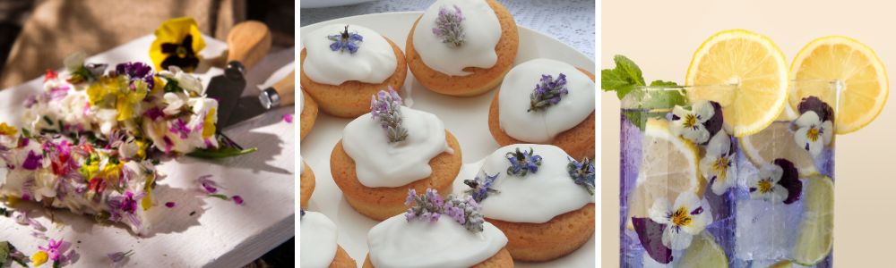 How to use edible flowers