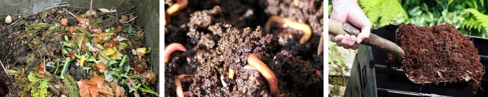 Stages of compost